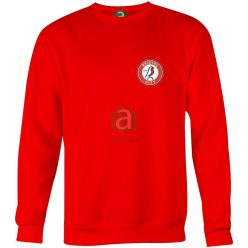 Bristol City környkas pulóver