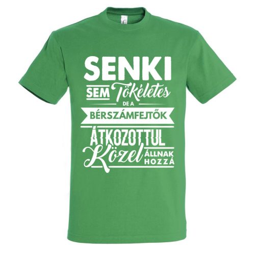 Senki sem tökéletes, de a bérszámfejtők.. póló