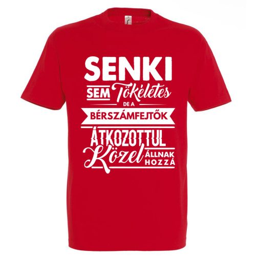 Senki sem tökéletes, de a bérszámfejtők.. póló