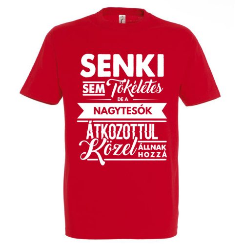 Senki sem tökéletes, de a nagytesók.. póló