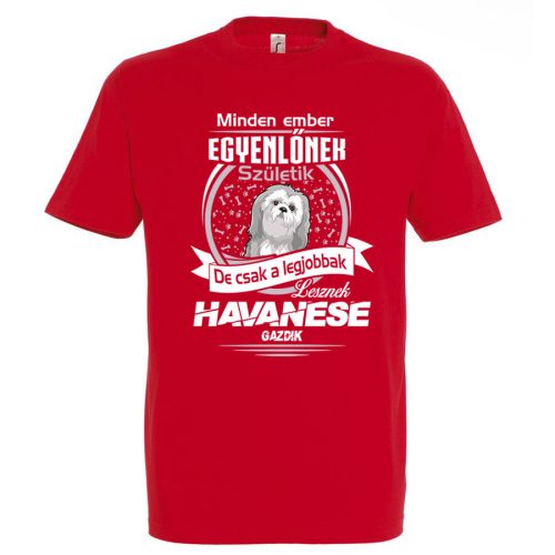 Legjobb havanese gazdik póló