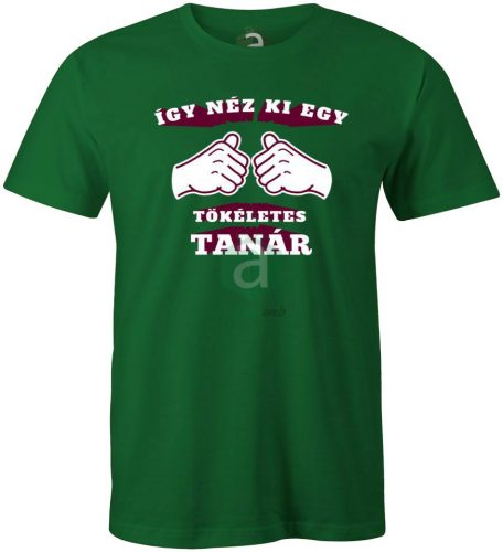 Így néz ki egy tökéletes tanár póló