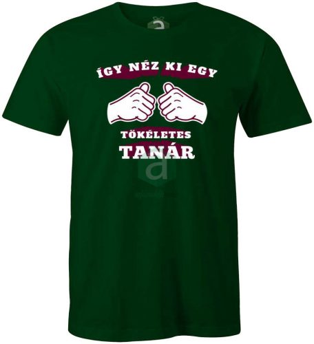 Így néz ki egy tökéletes tanár póló