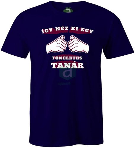 Így néz ki egy tökéletes tanár póló