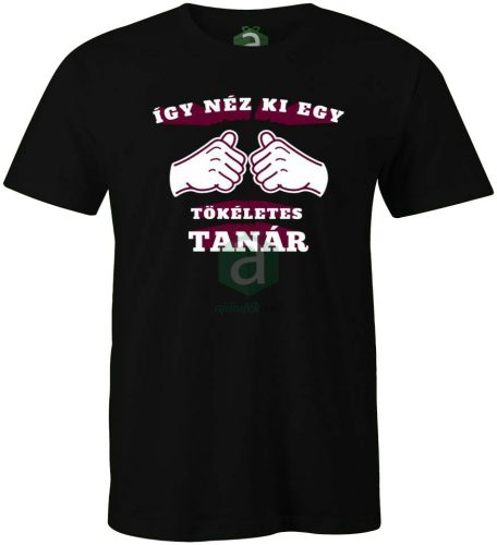 Így néz ki egy tökéletes tanár póló