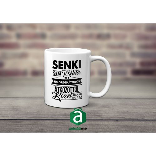 Senki sem tökéletes, de a kordinátorok.. bögre